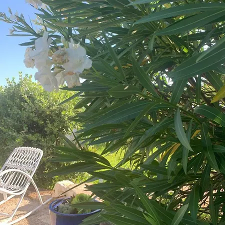 Relais Patriarca Ostuni